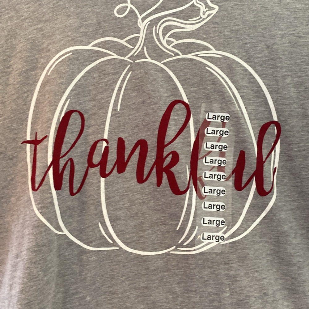 Thankful Raglan Tee - Picture 2 of 4